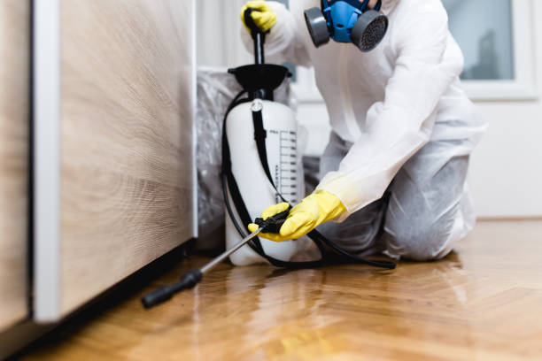 Flea Control Services in Andover, KS