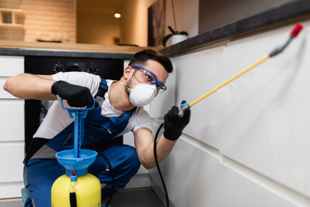 Best Pest Control Treatment  in Andover, KS