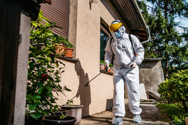 Wasp Removal Services in Andover, KS