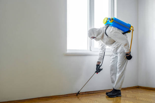 Best Mosquito Control Services  in Andover, KS