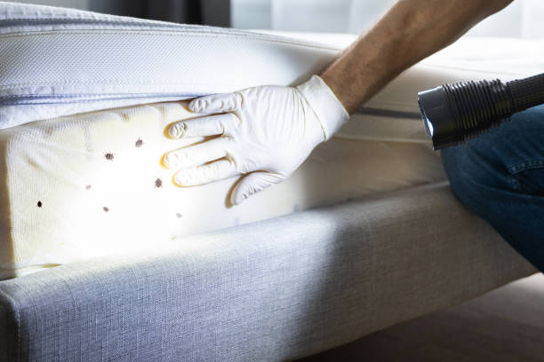 Professional Pest Control in Andover, KS