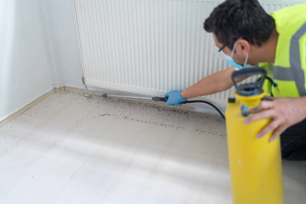 Best Flea Control Services  in Andover, KS